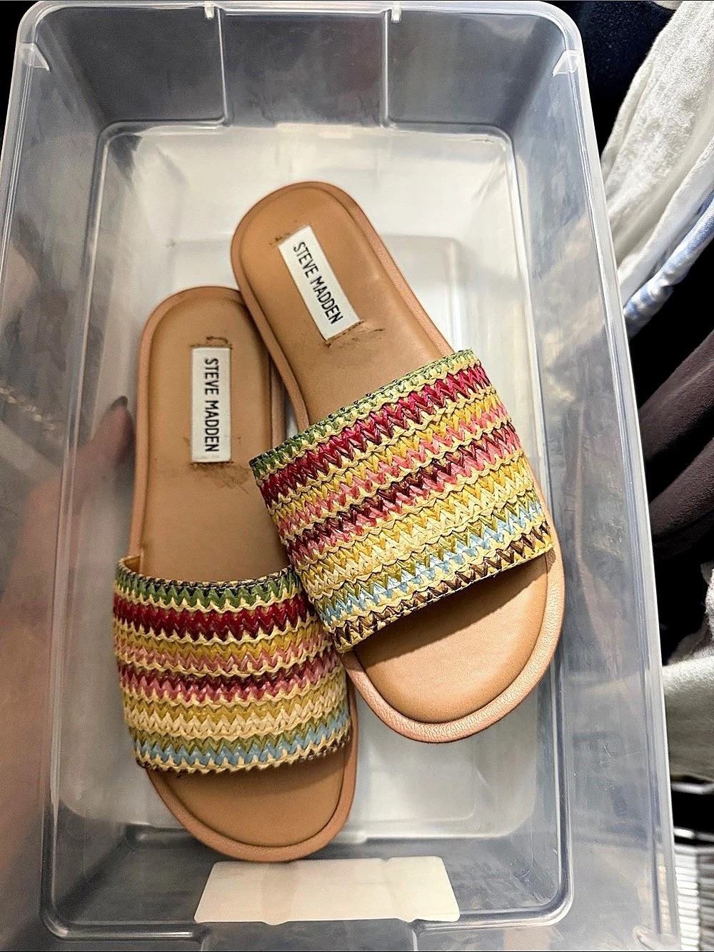 Steve Madden Hadyn Raffia Flat Slide Sandal Multicolor & Tan